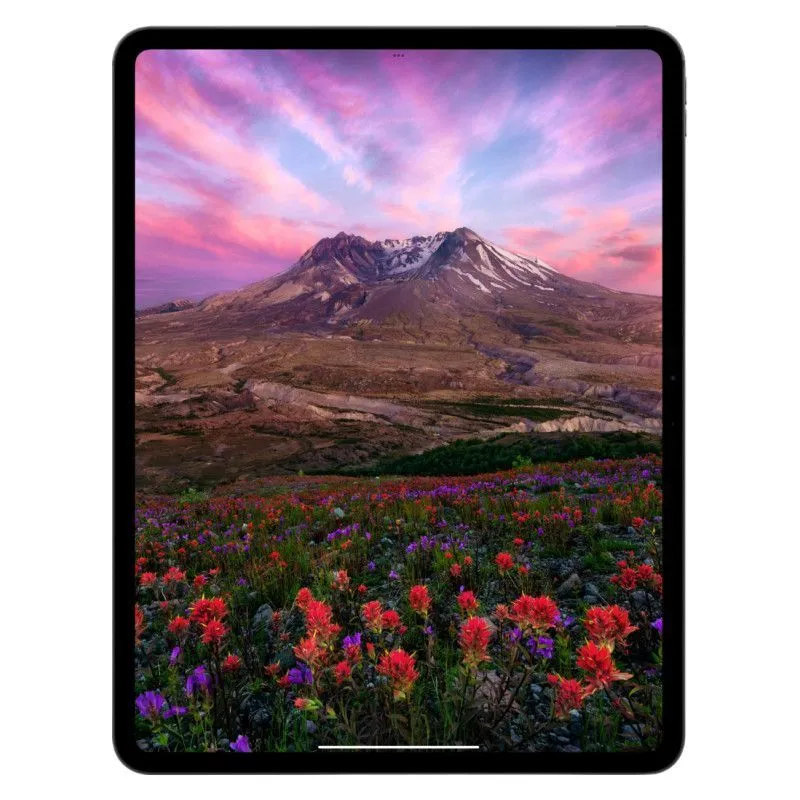 iPad Pro 2025 11" Wi-Fi+Cellular 1024Gb Черный космосphoto3