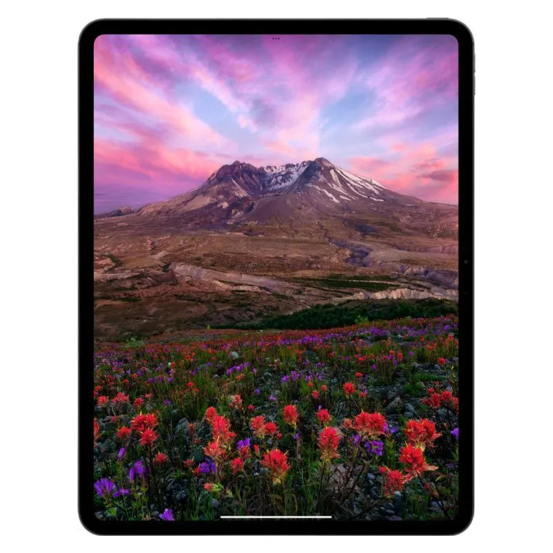 iPad Pro 2025 11" Wi-Fi+Cellular 2048Gb Серебристыйphoto3