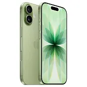 iPhone 17 512Gb Шалфей